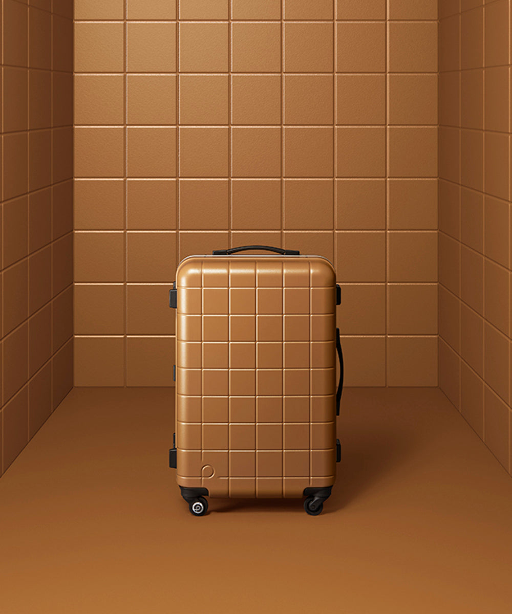 PROTECA Checker Frame luggage