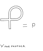 P for Proteca
