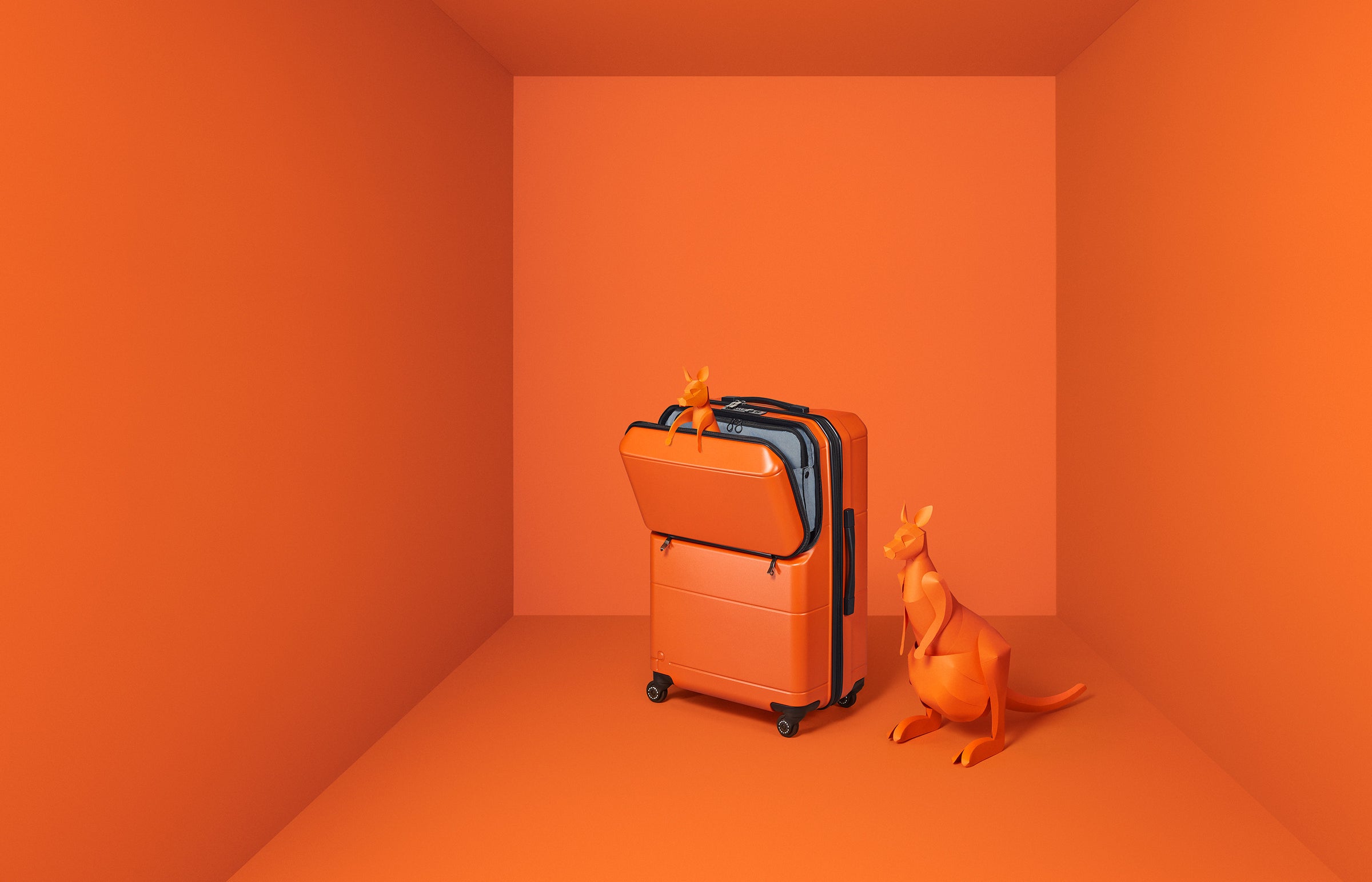 PROTECA Pocket Liner2 luggage
