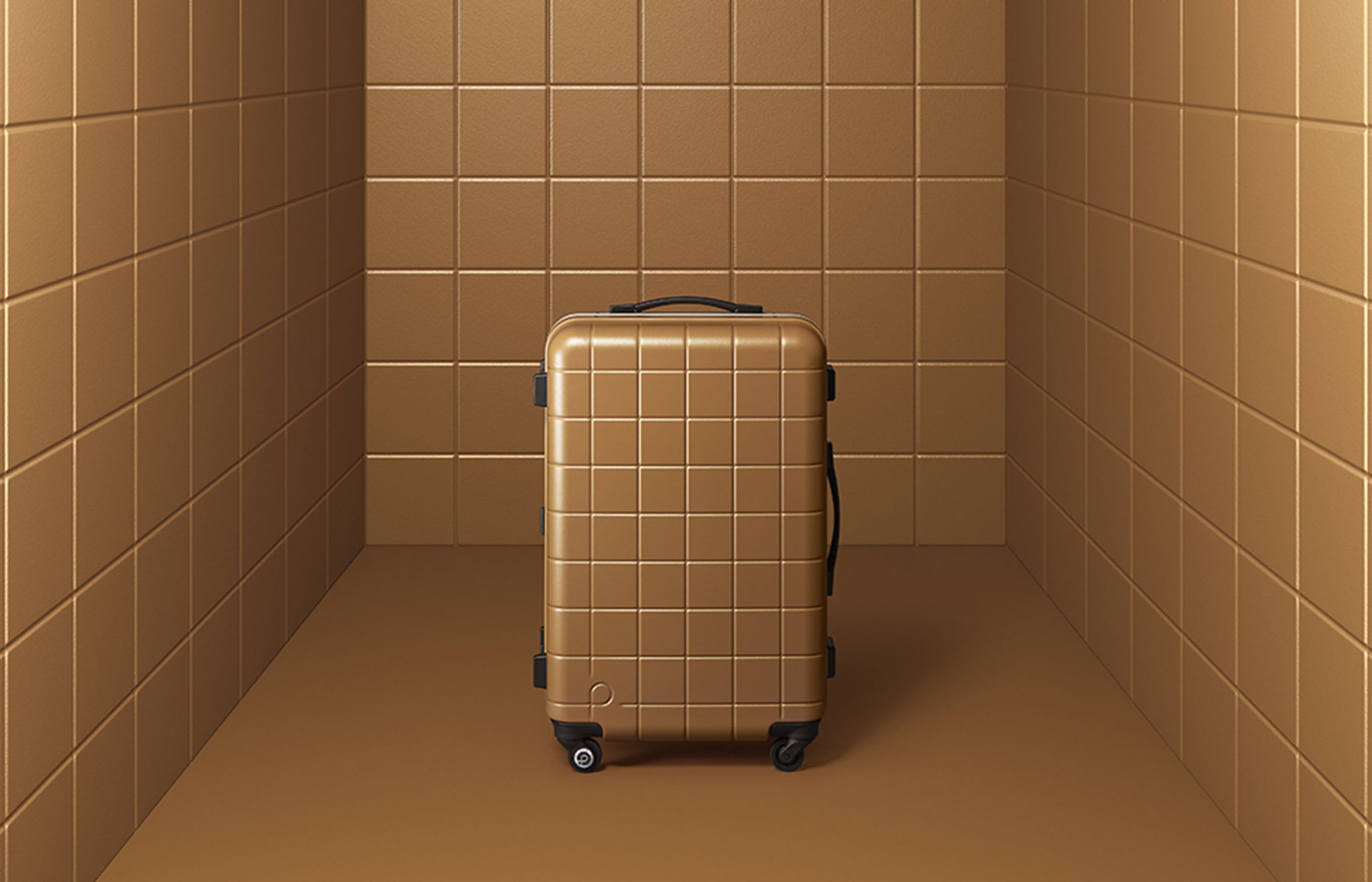 PROTECA Checker Frame luggage