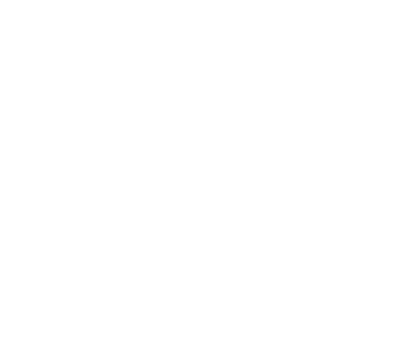 PROTECA Pocket Liner 2